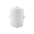 Davis & Waddell Fermentation Crock 3l Cheap