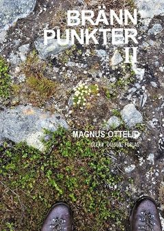 Brännpunkter II : noveller Online Hot Sale