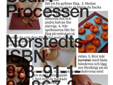 Sedir: Processen Online now