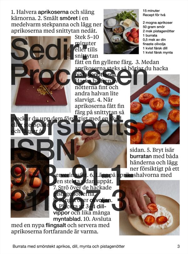 Sedir: Processen Online now