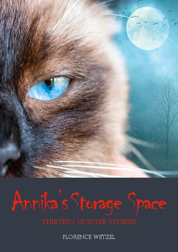 Annika s storage space : thirteen sinister stories For Sale