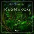 Avslappning - Regnskog Hot on Sale