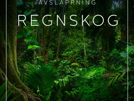 Avslappning - Regnskog Hot on Sale