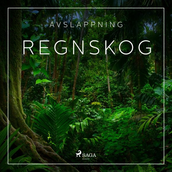 Avslappning - Regnskog Hot on Sale