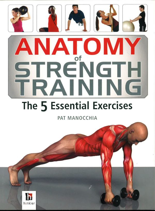 Anatomy Of Strength Training For Sale